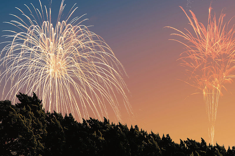 6.5（金）名古屋の夏の訪れを告げる「熱田まつり 花火観覧特別プラン」のご案内