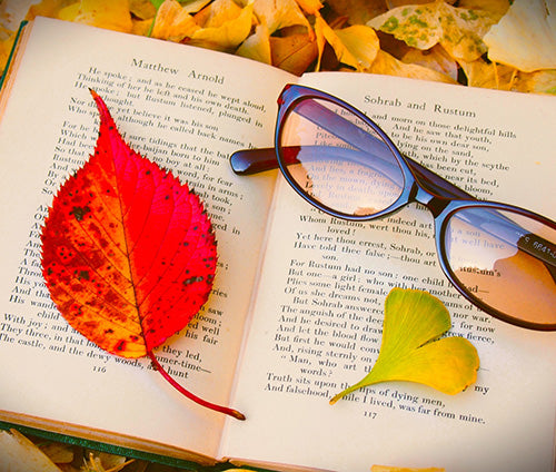 《11.20》第4回 冨田信子先生の「朗読と料理を楽しむ会」 ※要予約