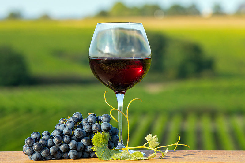 中国料理とお酒のマリアージュを愉しむ会